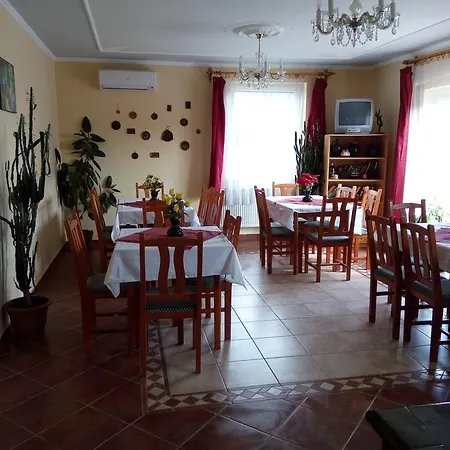 Vivien Panzio * Zalaegerszeg